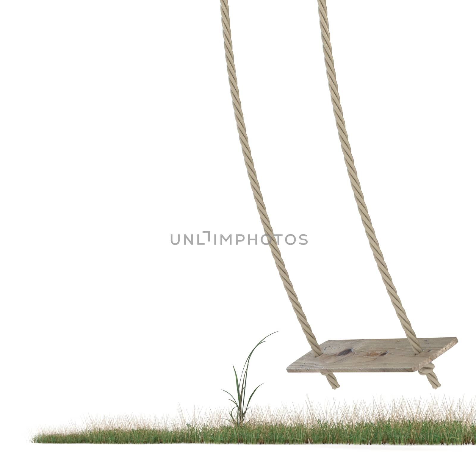 Swing made of rope and a wooden plank over grass ground. 3D by djmilic