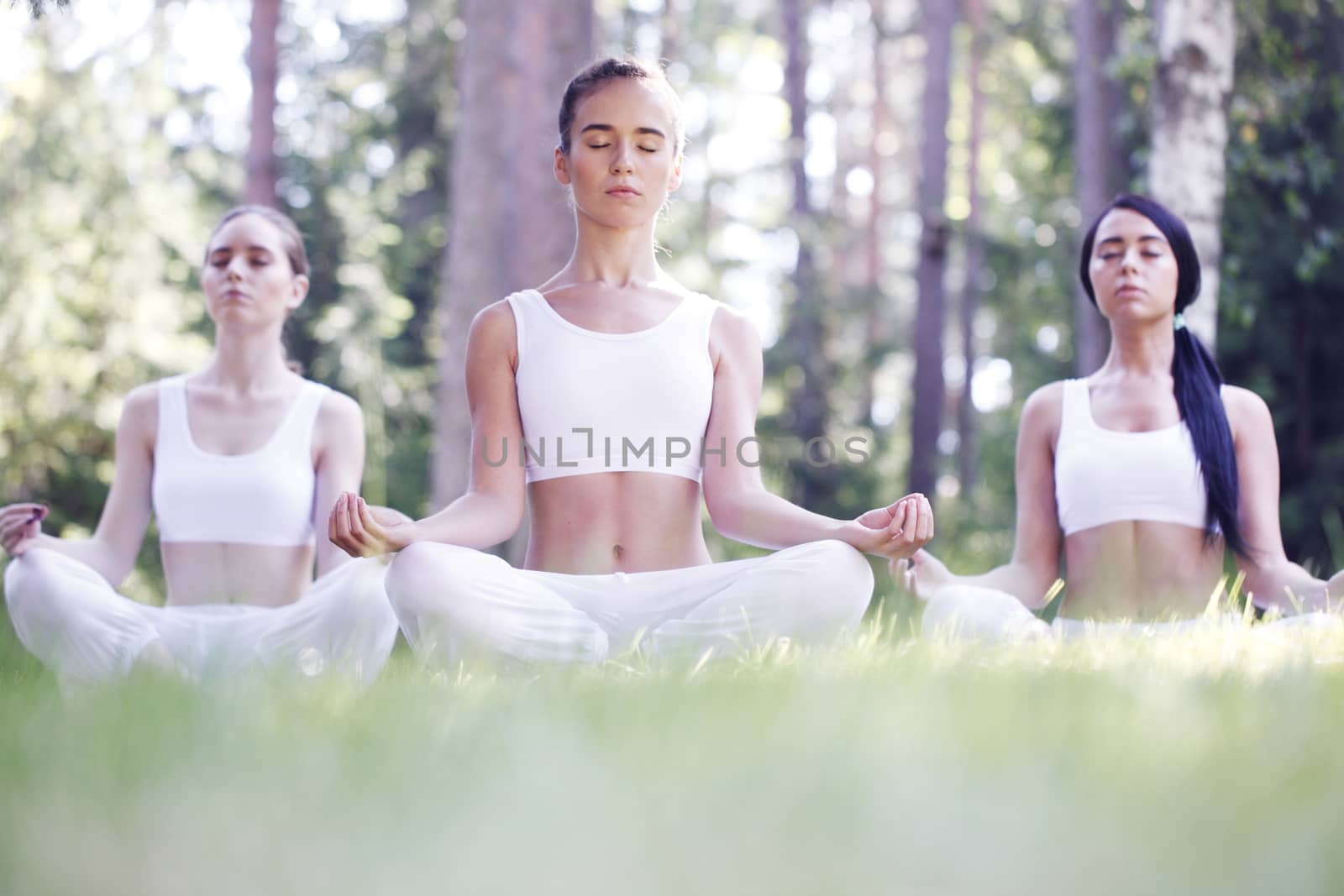 Women sitting in lotus position during yoga training at park