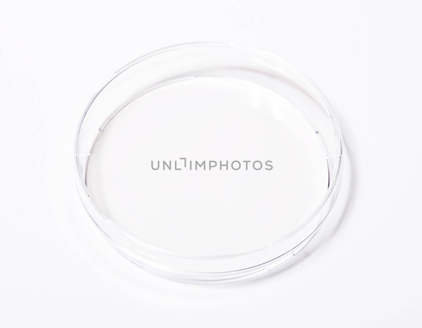 Dish, petri  isolated on white background