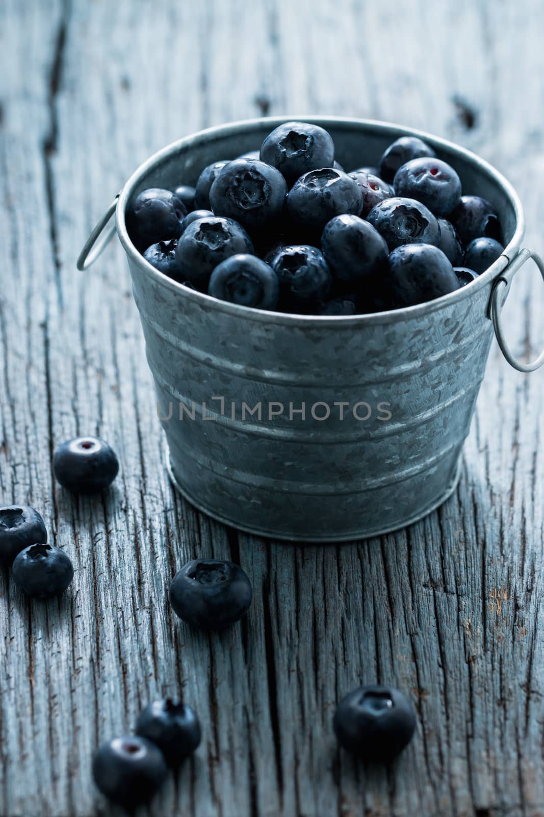 Blueberry in Small tank on wooden background