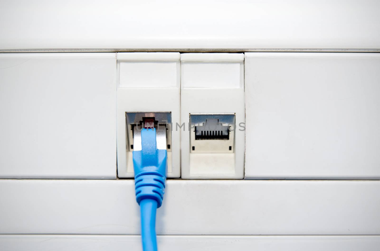 Ethernet cable connected to socket in wall by simpson33