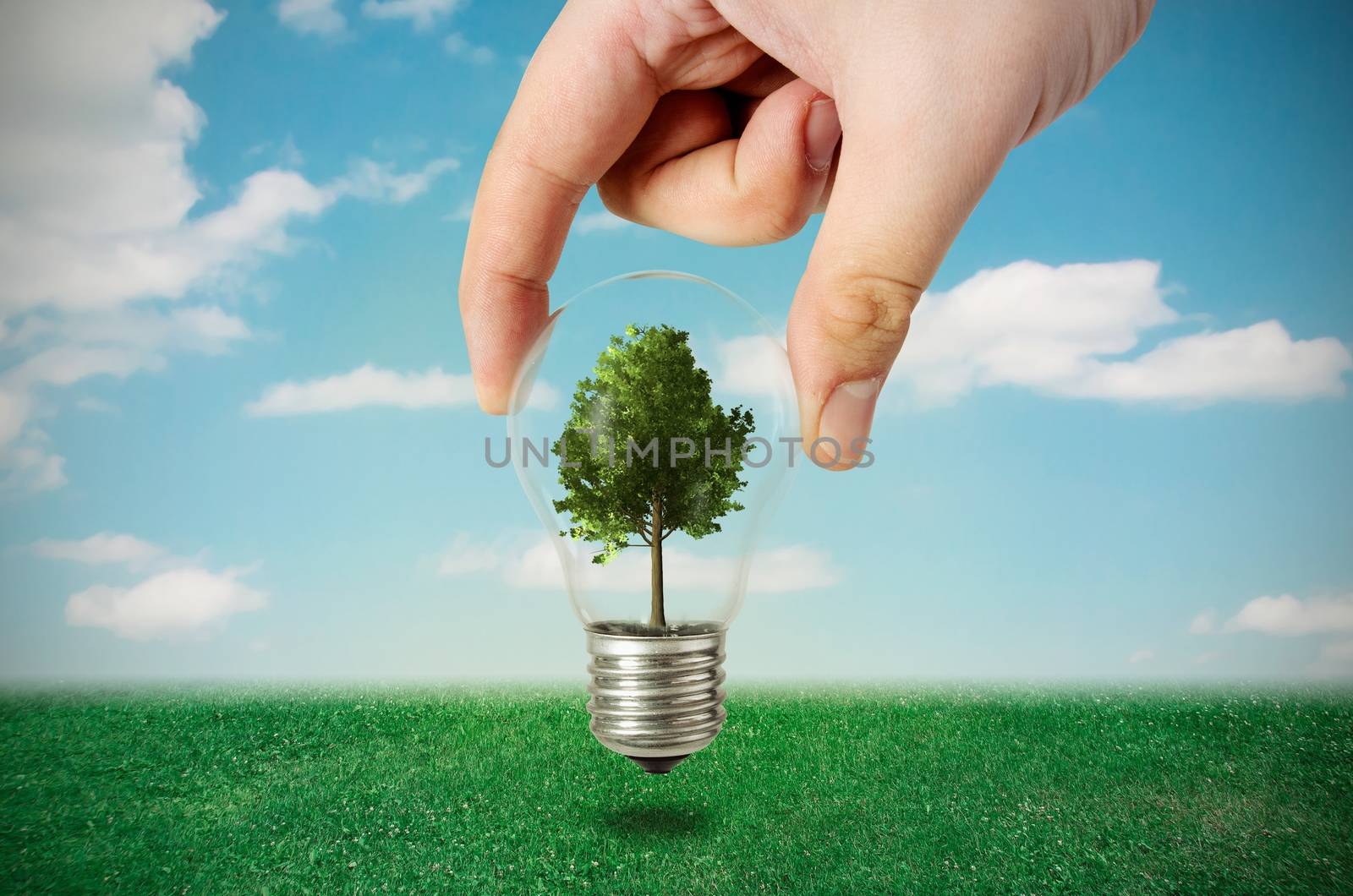 Energy efficiency concept. Abstract composition with tree in bulb on nature background