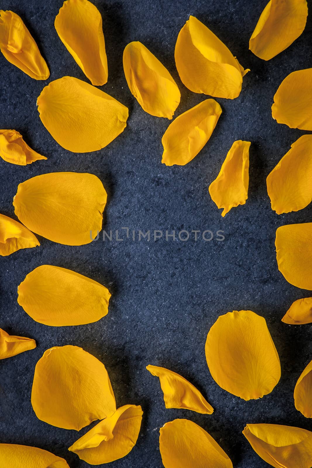 Frame of rose petals on the dark stone table vertical