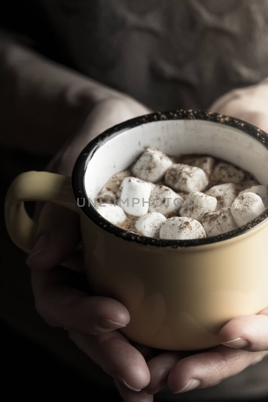 Cup of cocoa with marshmallows in the hand
