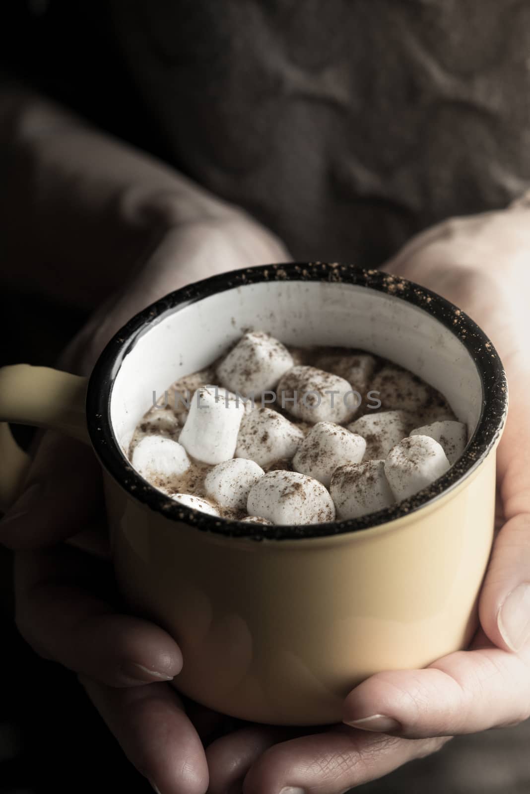 Cup of cocoa with marshmallows in the hand vertical by Deniskarpenkov