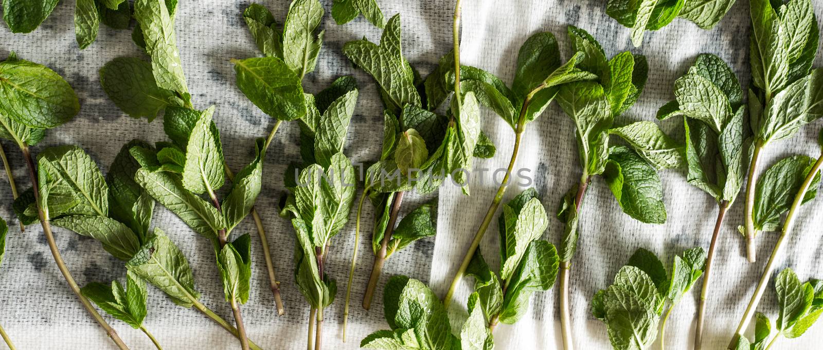 Mint sprigs on the white cloth wide screen