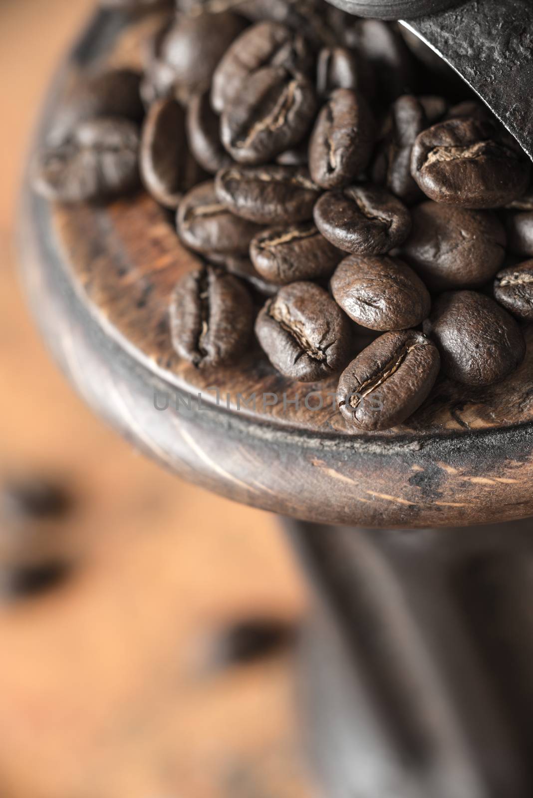 Coffee beans in the coffee mill close-up by Deniskarpenkov