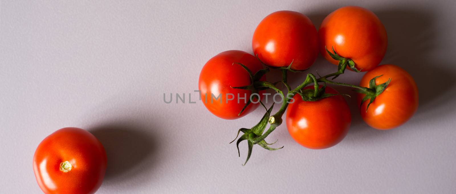 Tomatoes twig on the white background