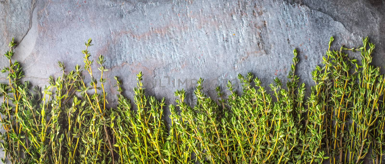 Thyme sprigs on the stone table wide screen by Deniskarpenkov