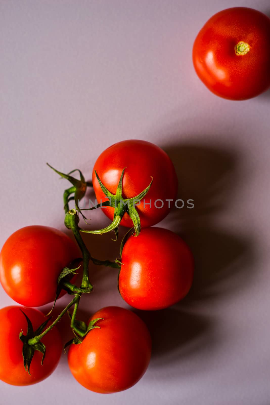 Tomatoes twig on the white background vertical by Deniskarpenkov
