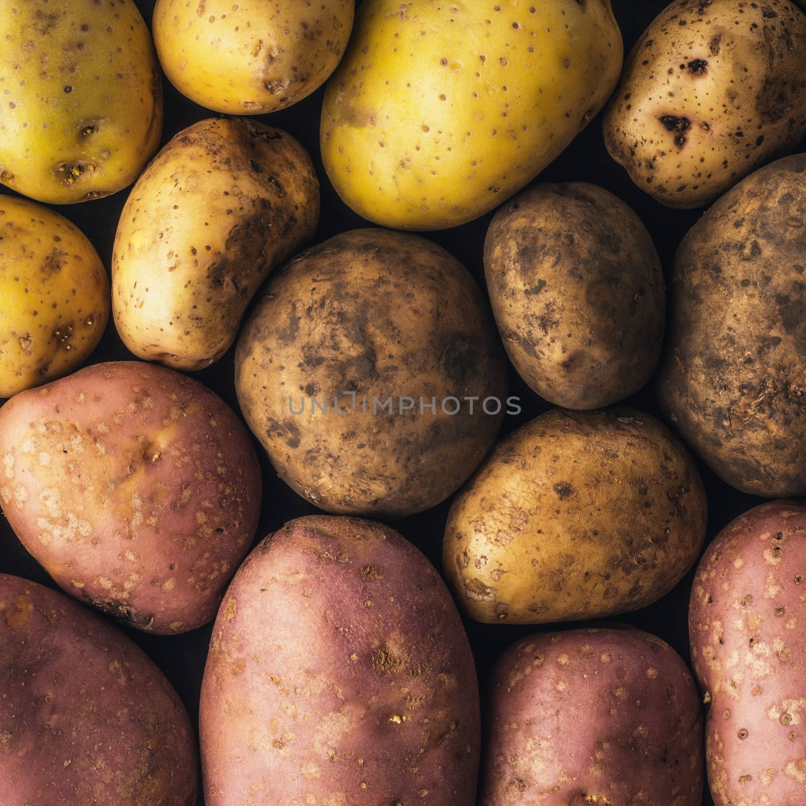 Raw potatoes  background square