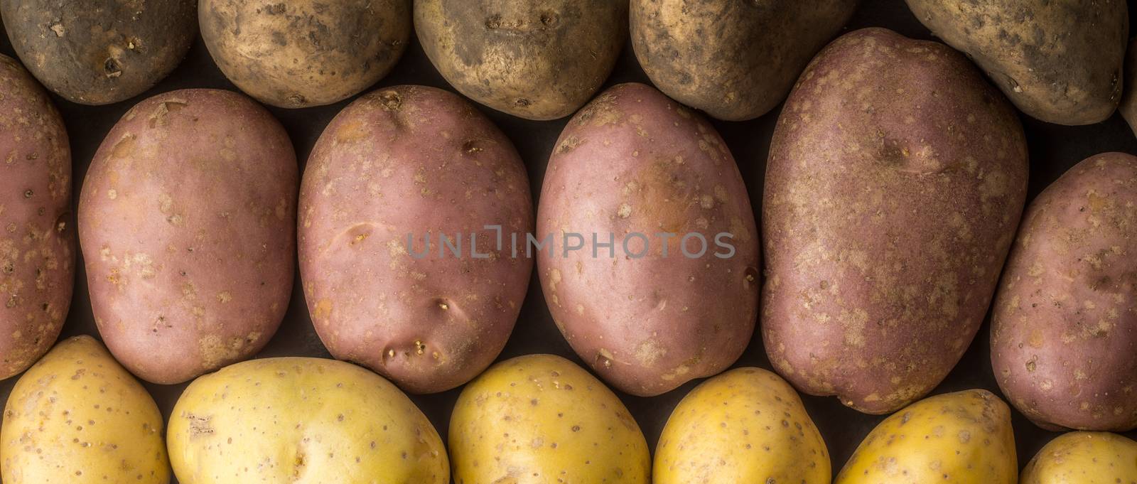 Raw potatoes mix background wide screen