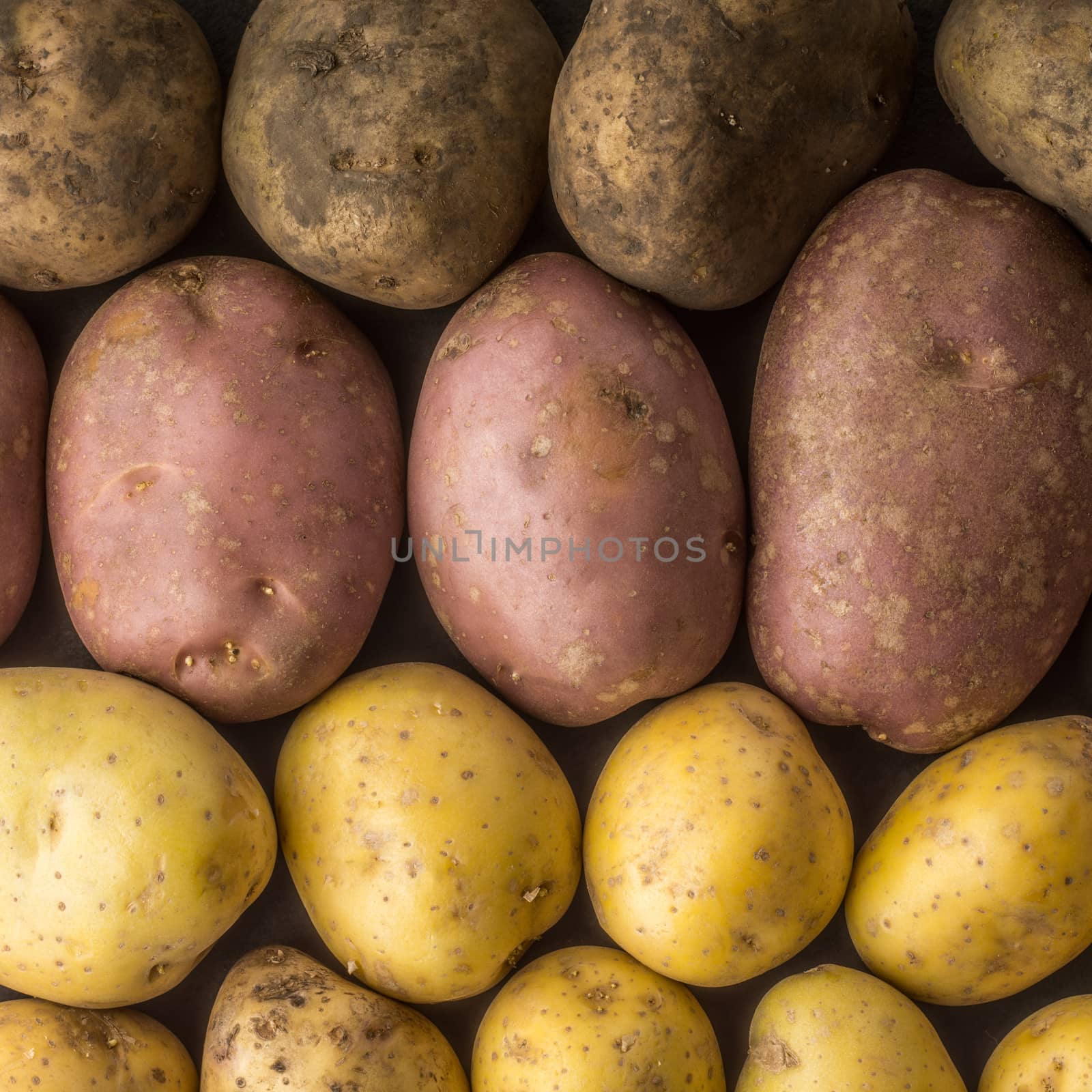 Raw potatoes mix background square by Deniskarpenkov