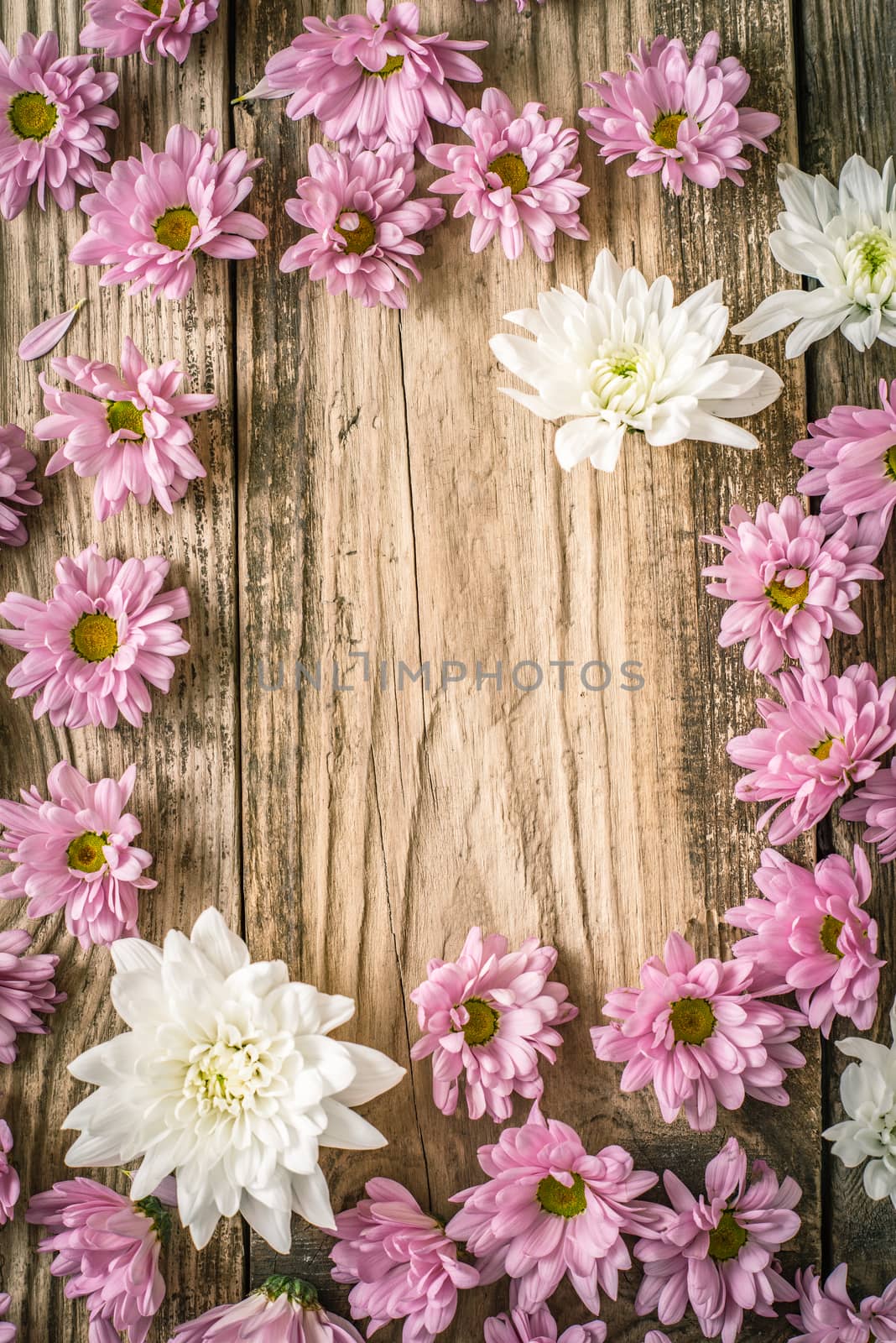 Frame of   pink  and white flower on the wooden table  vertical by Deniskarpenkov