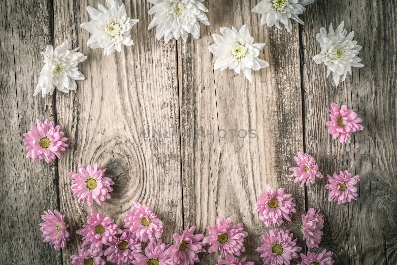 Frame of white and pink flowers on the wooden background horizontal
