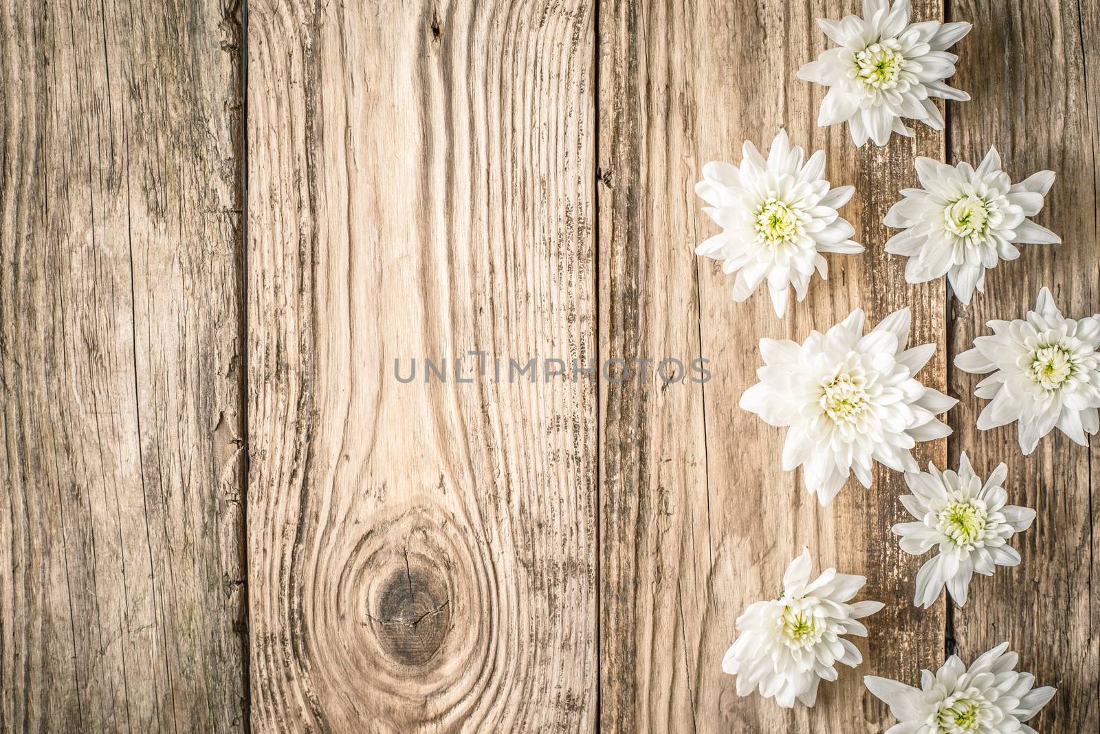 White flowers on the wooden background