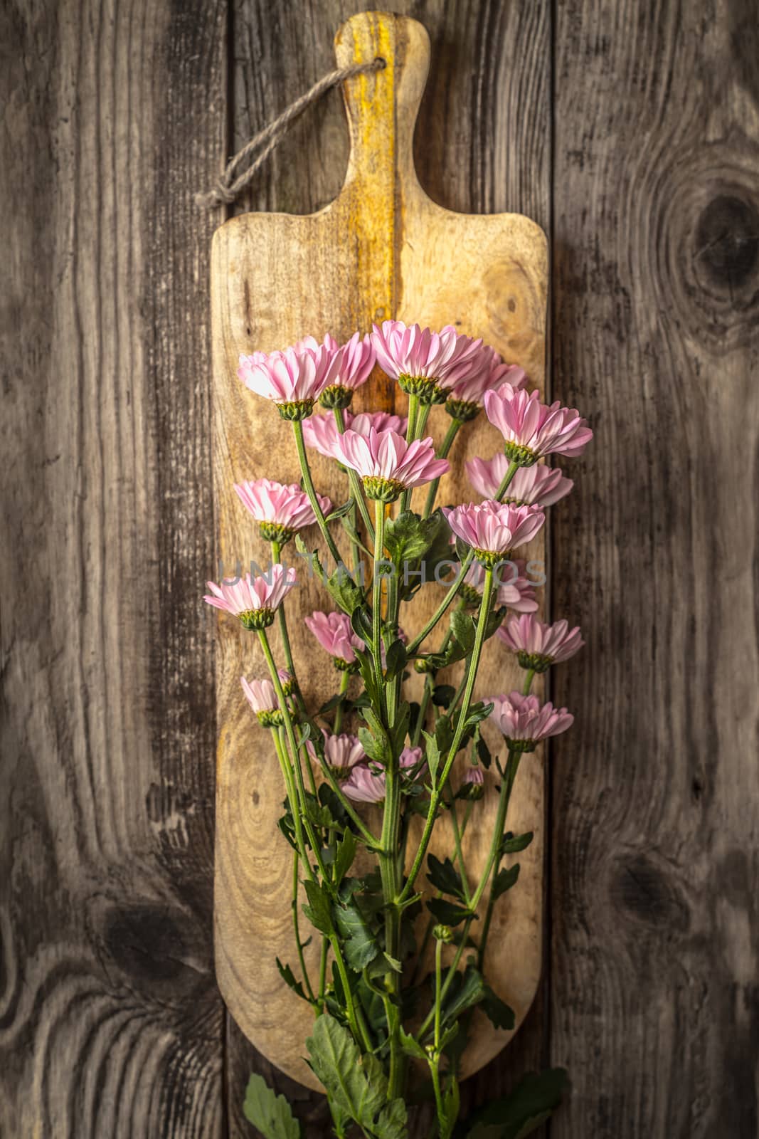 Pink flowers on the wooden board top view