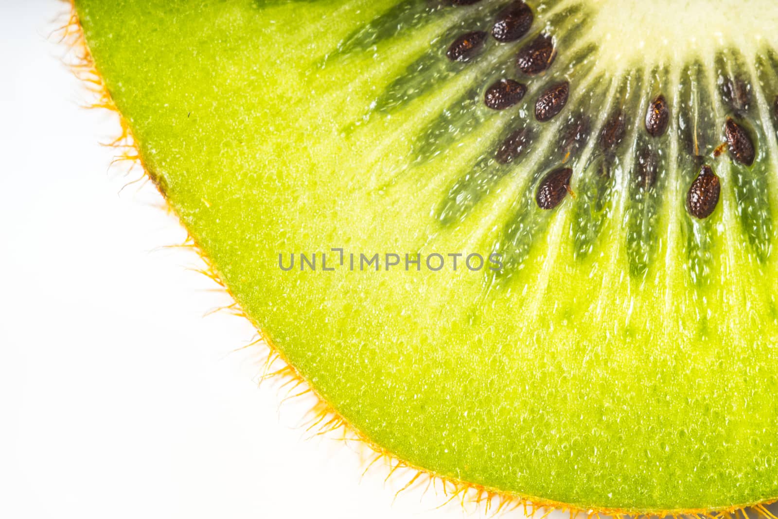 Slice of kiwi on the white background close-up by Deniskarpenkov