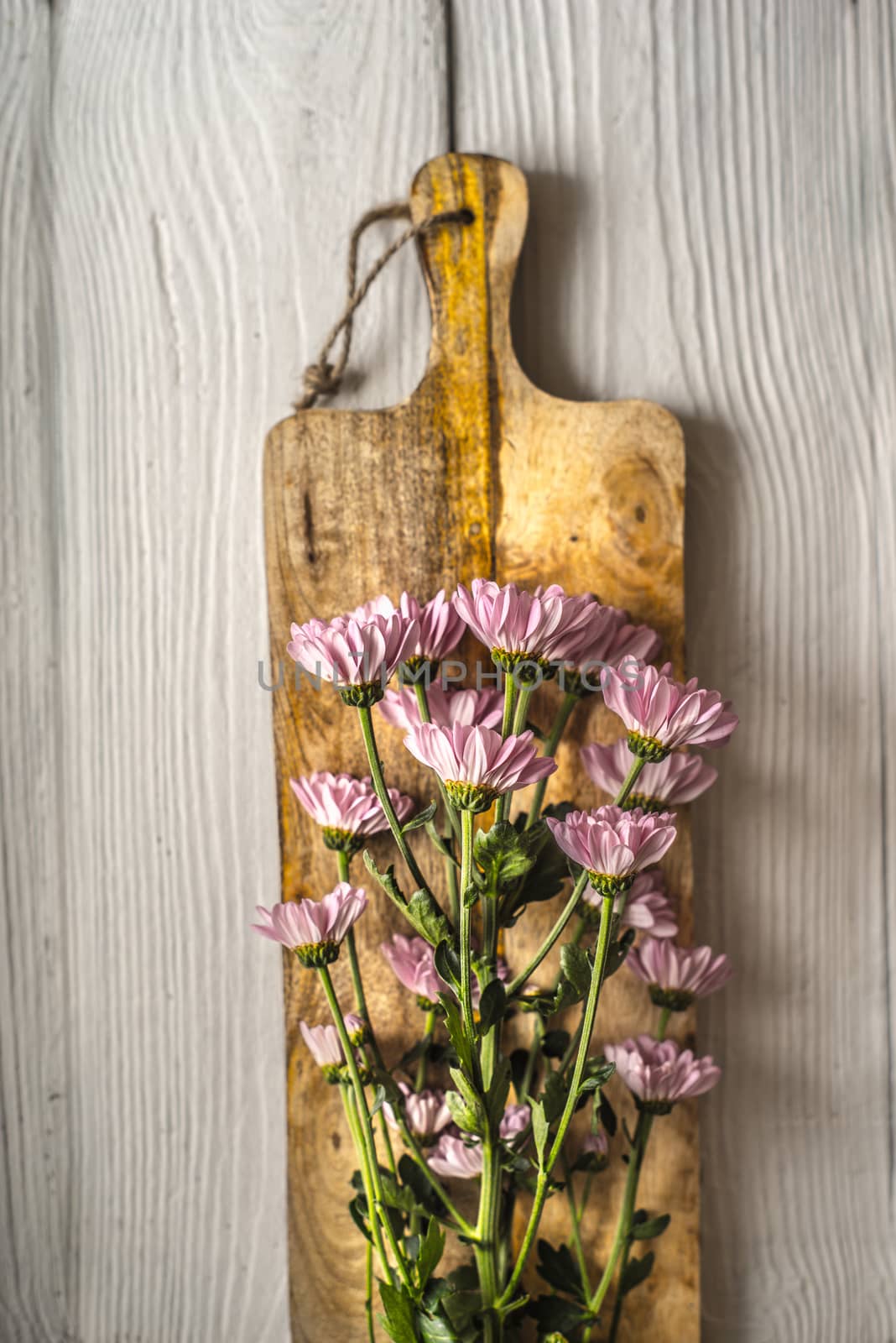 Pink flowers on the wooden board