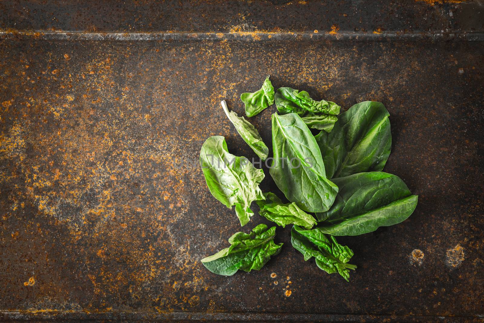 Fresh spinach on the metal rusty background top view by Deniskarpenkov