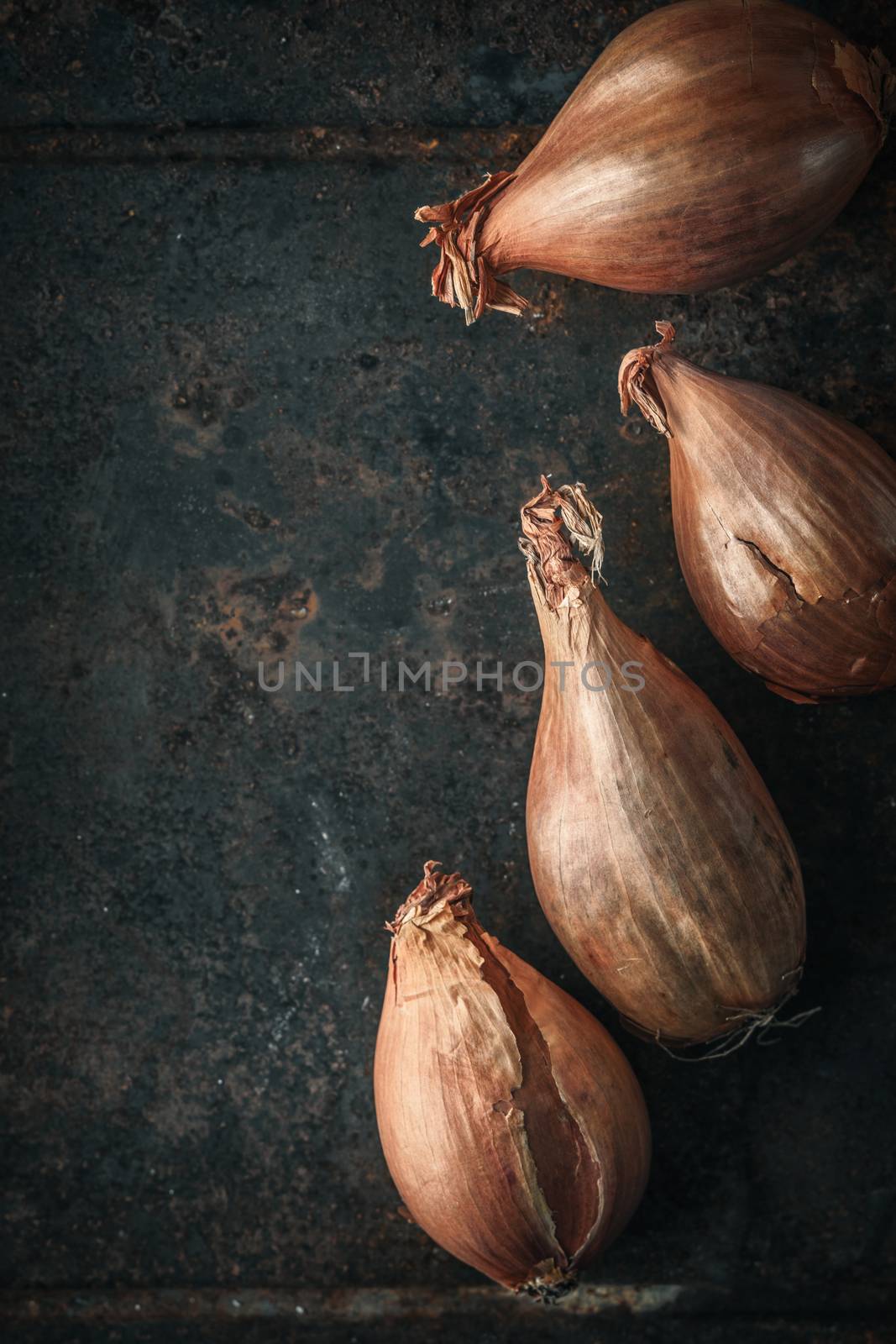 Shallots  on the  old metal background  vertical