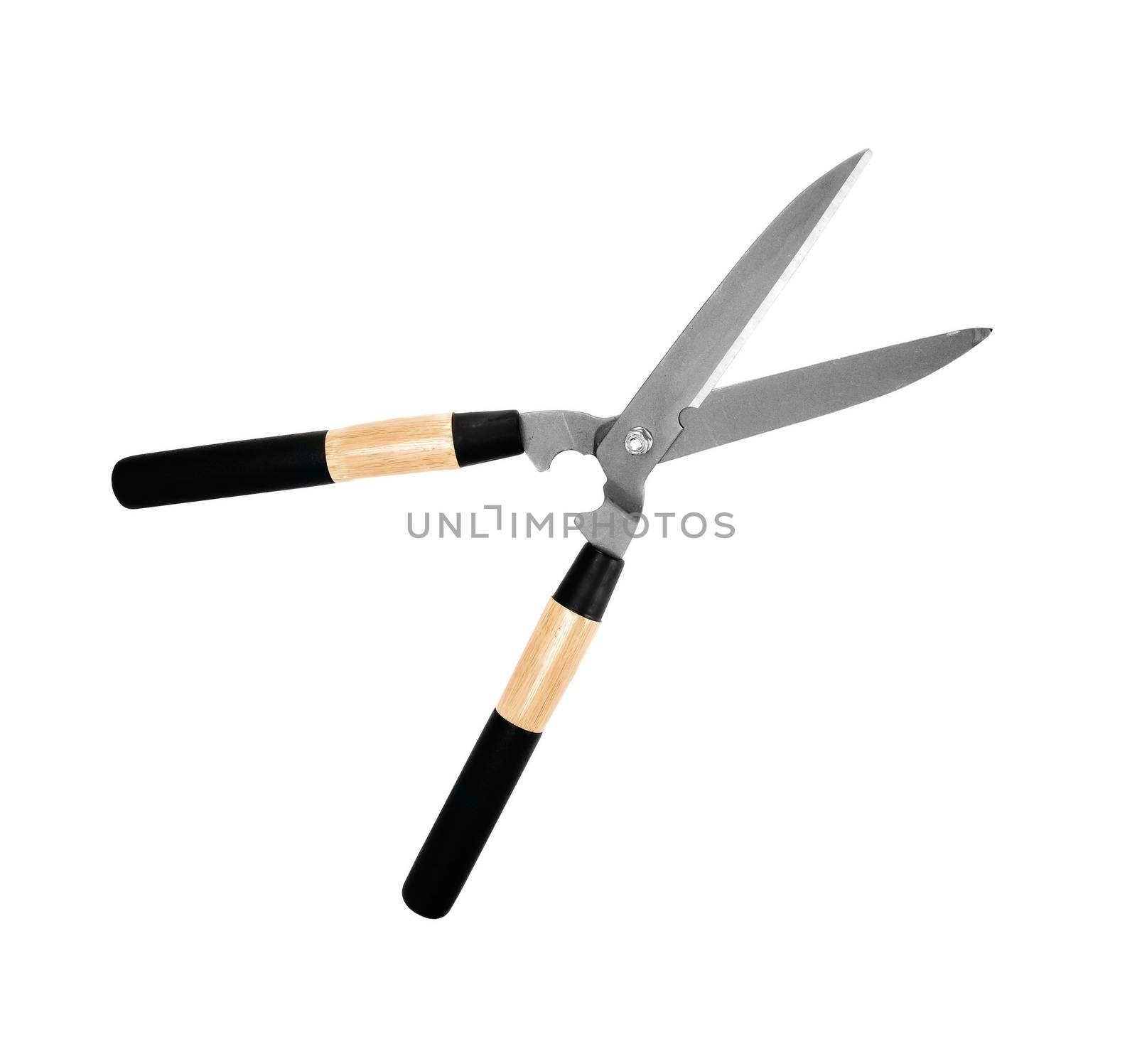 garden scissors isolated on white
