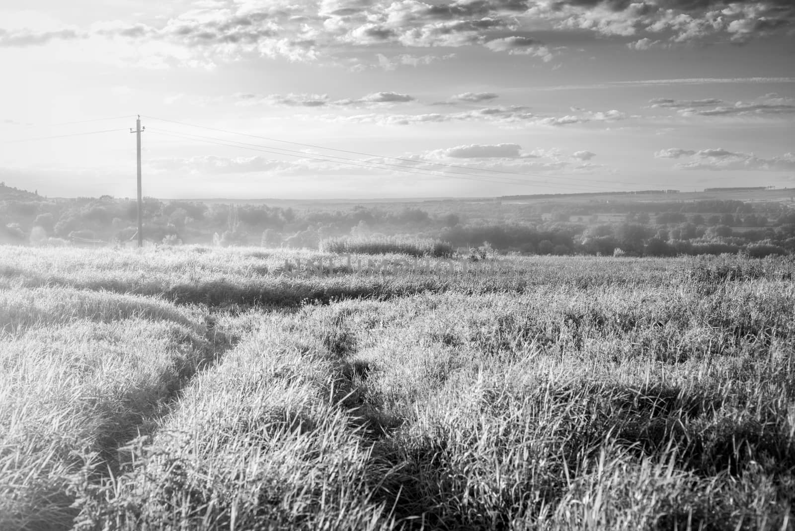 Landscape with endless field black and white by Deniskarpenkov