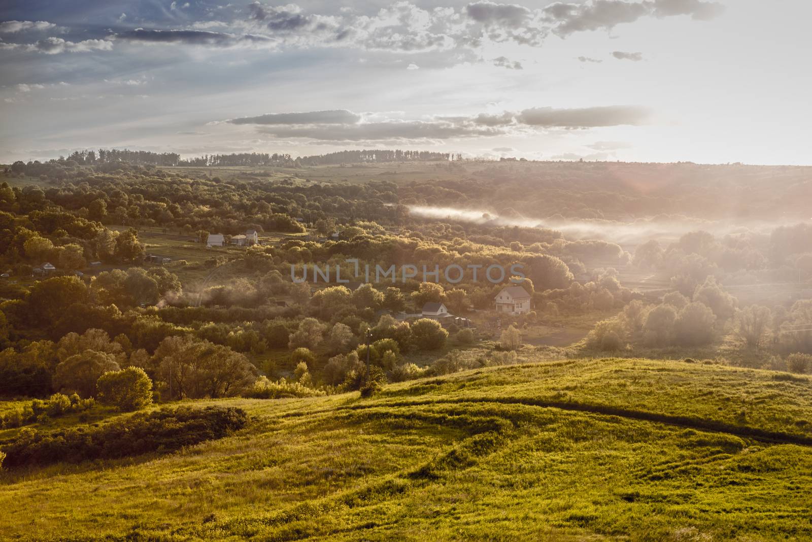 Golden field on the  hill near the village by Deniskarpenkov