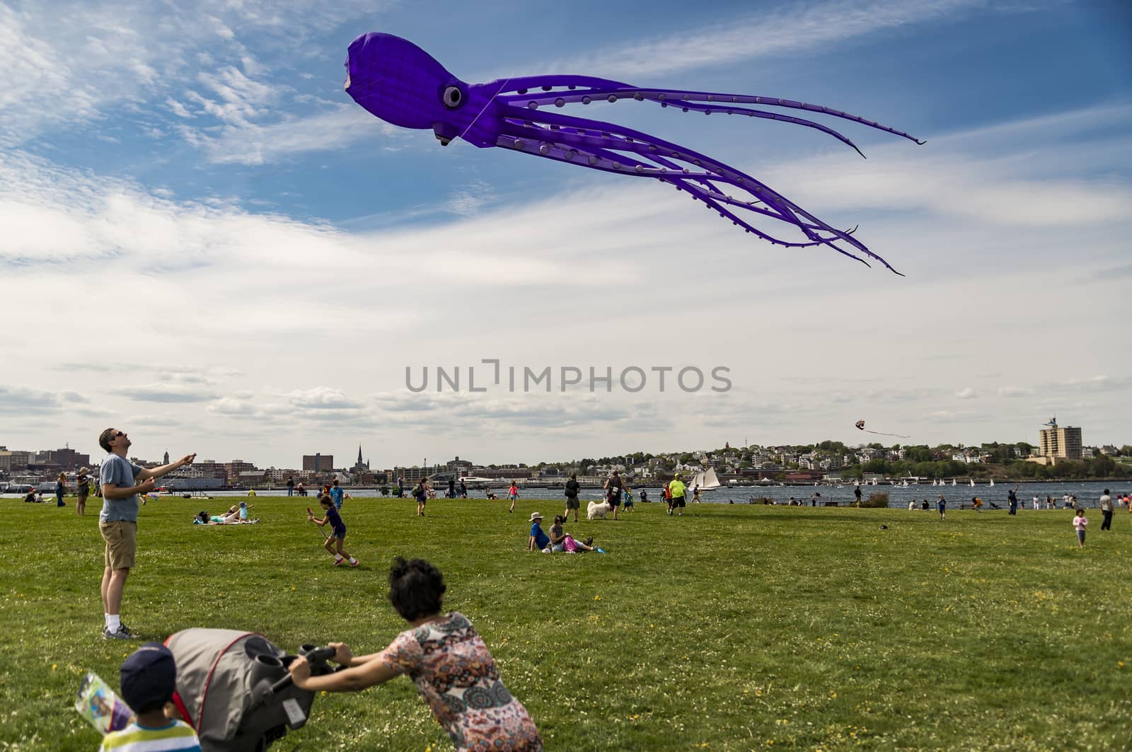 people playing with kites in a park