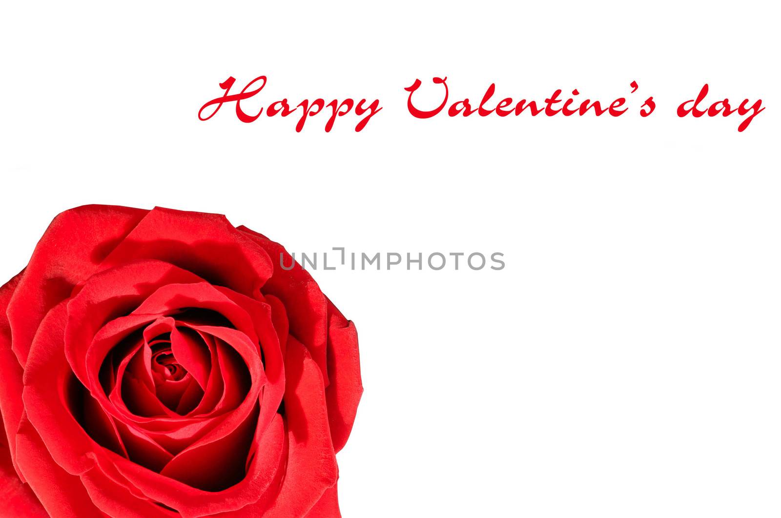 Valentine's day background