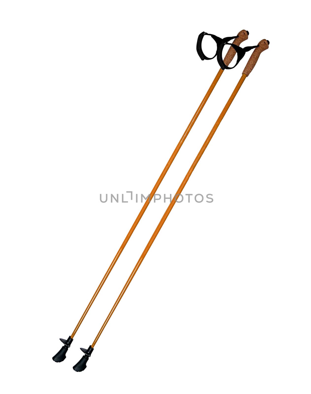 walking sticks under thew white background