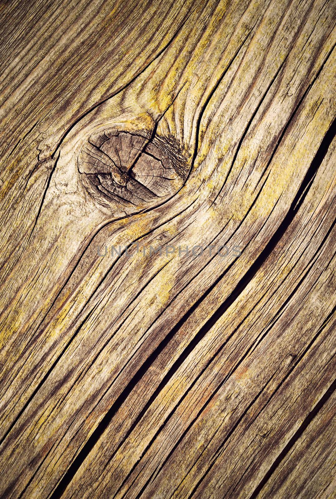 abstract background or texture wooden board in knot