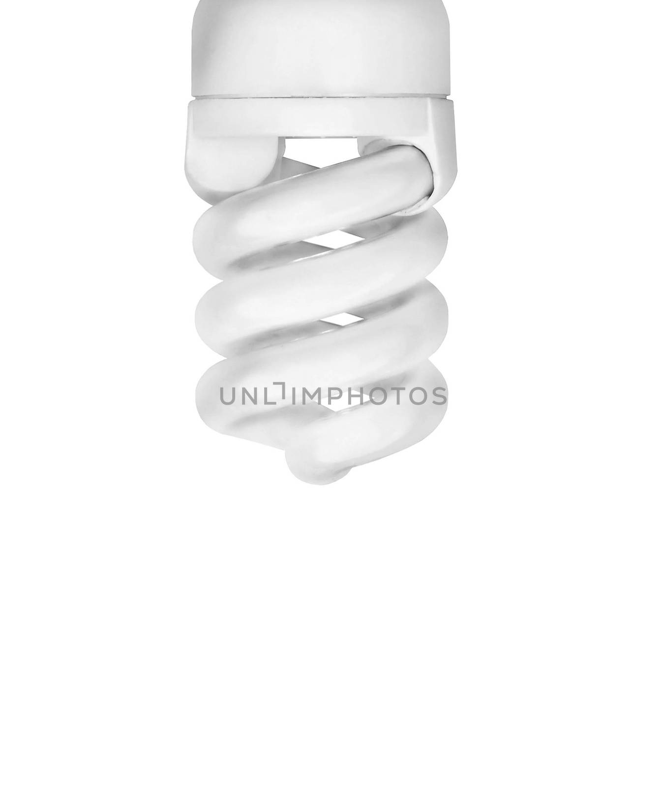 Saving bulb closeup