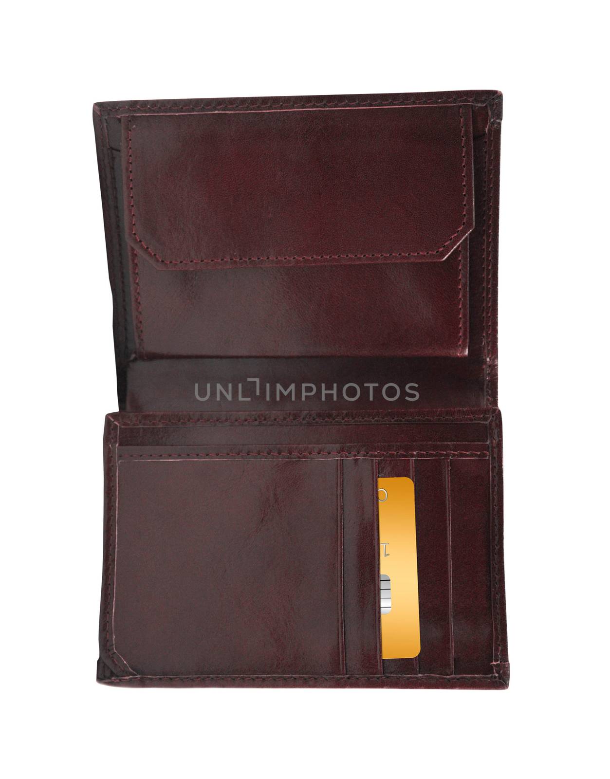 Open wallet with golden card