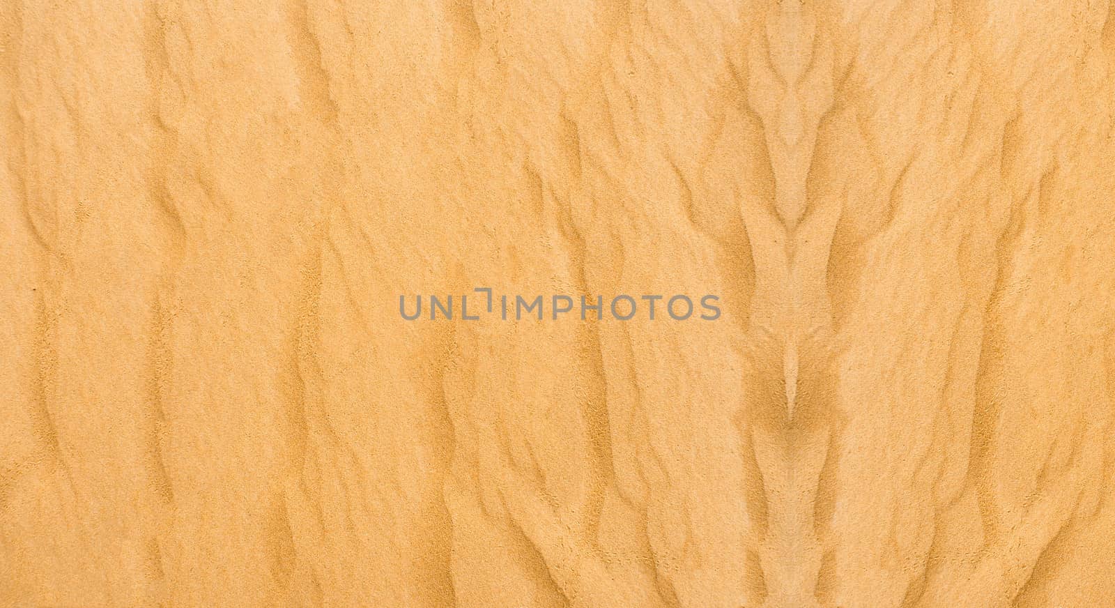 Sand Texture