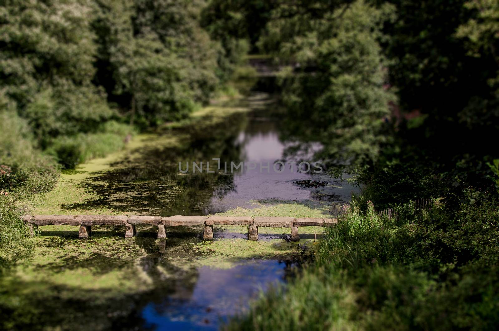 Stone bridge in pond at Nostell Priory England