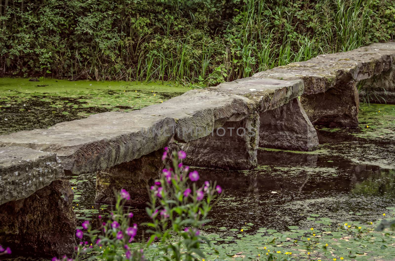 Stone bridge in pond at Nostell Priory England