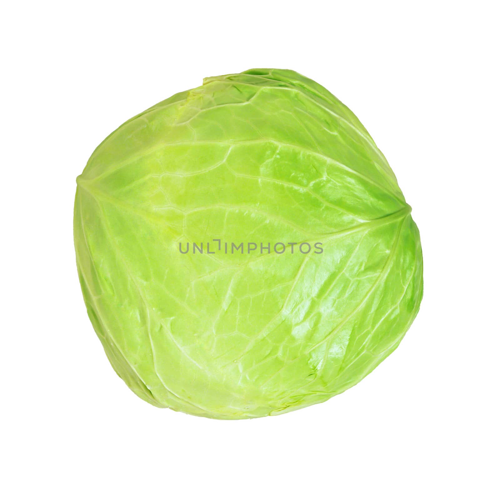 cabbage isolated