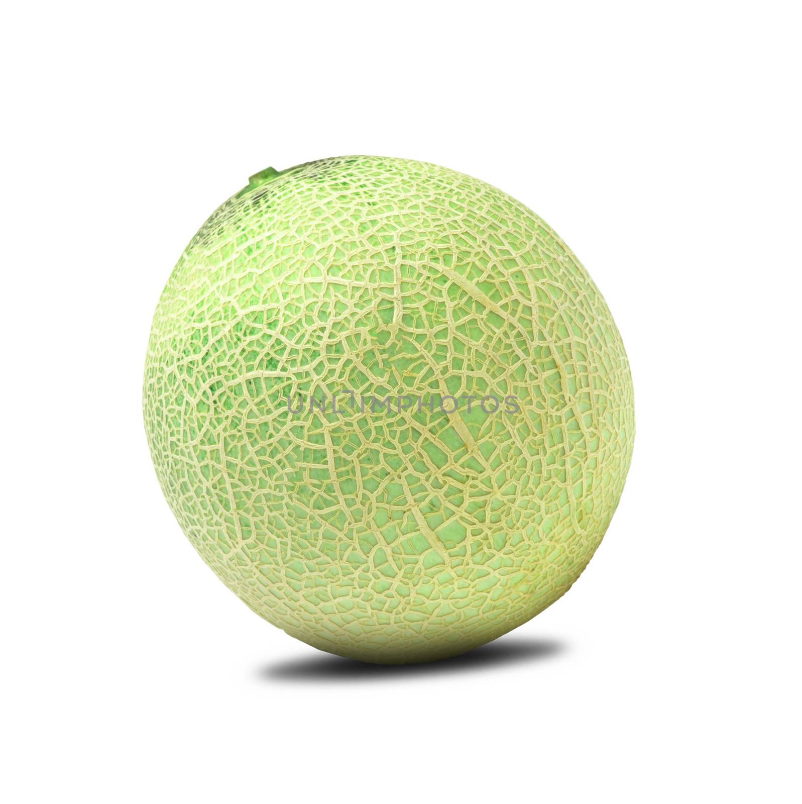 cantaloupe melon