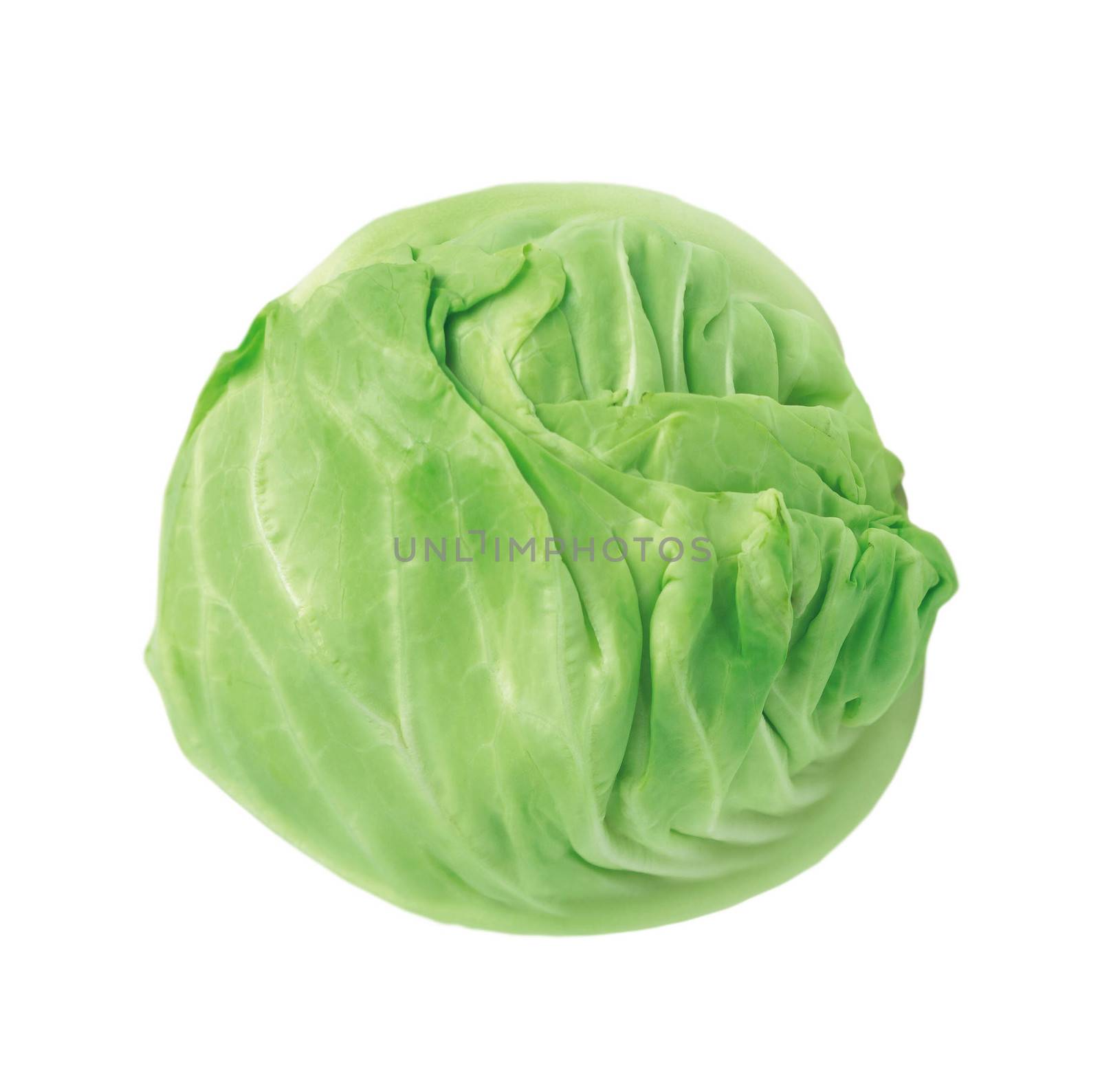 Fresh green cabbage vegetable