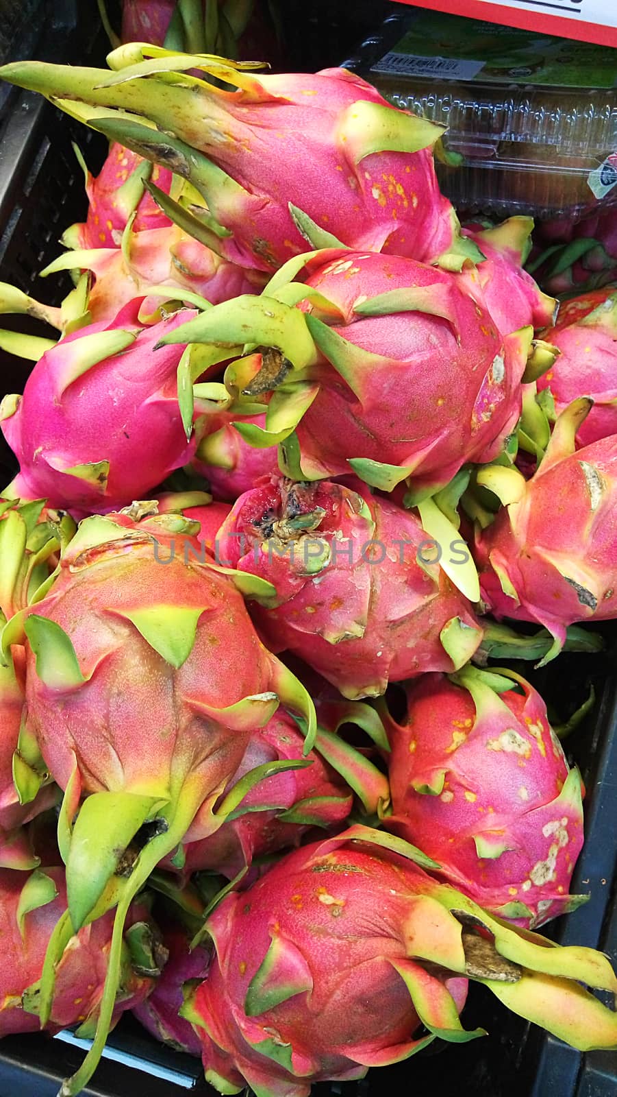 Thai Dragon fruit at the market by tang90246