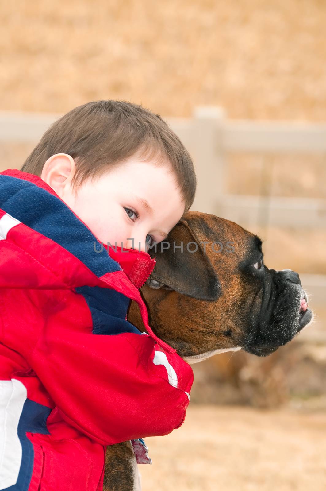 Little boy hugging his best freind, the family pet Boxer. After playing hard in the back yard two pals stop to rest.