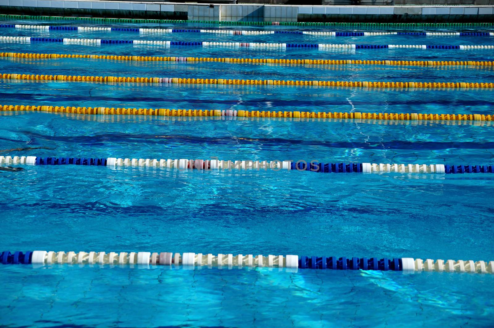 Dividers of paths in the big outdoor swimming pool