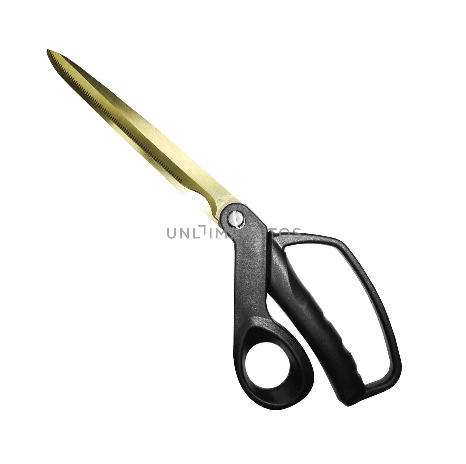 Scissors isolated