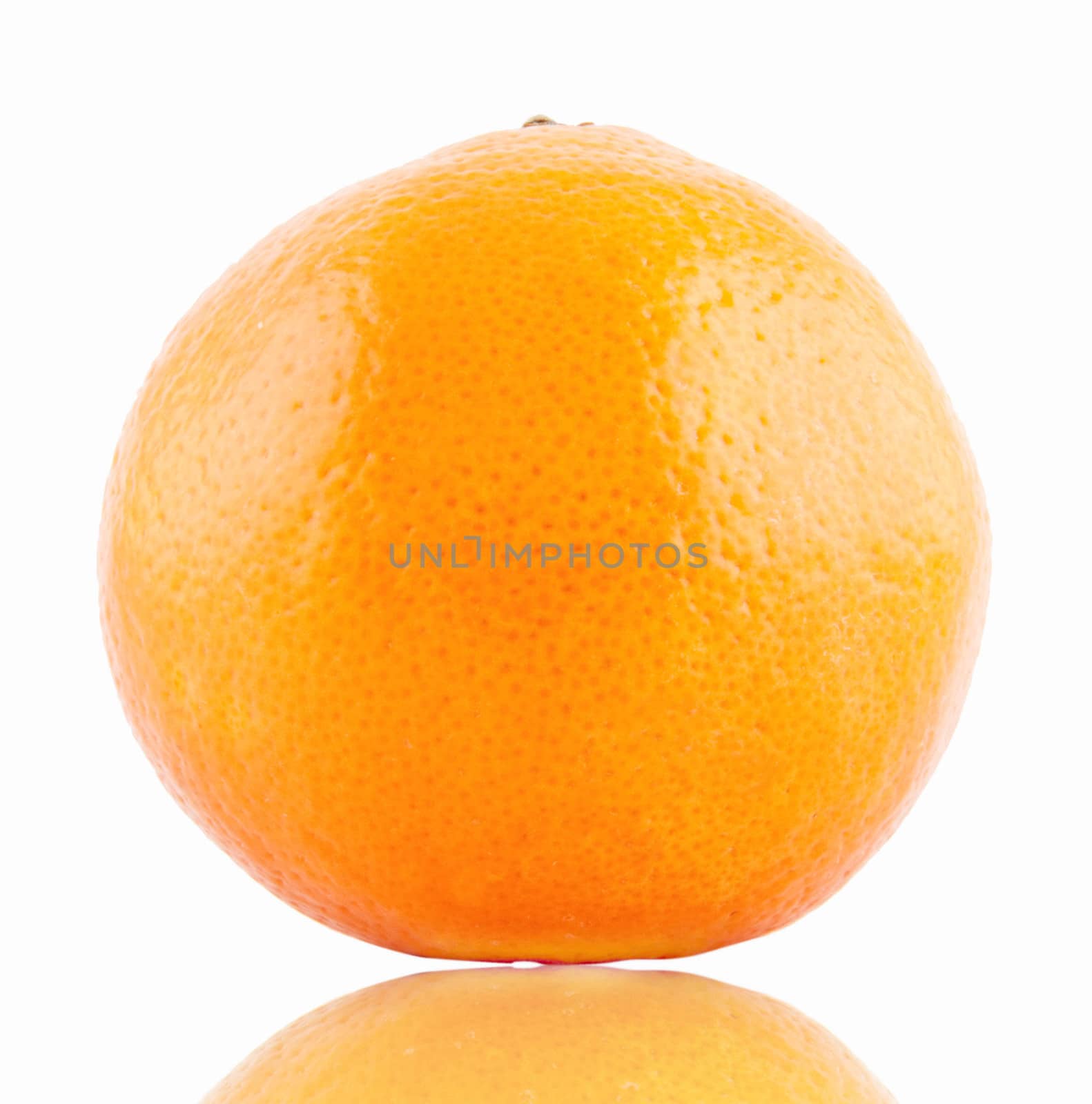 Orange isolated