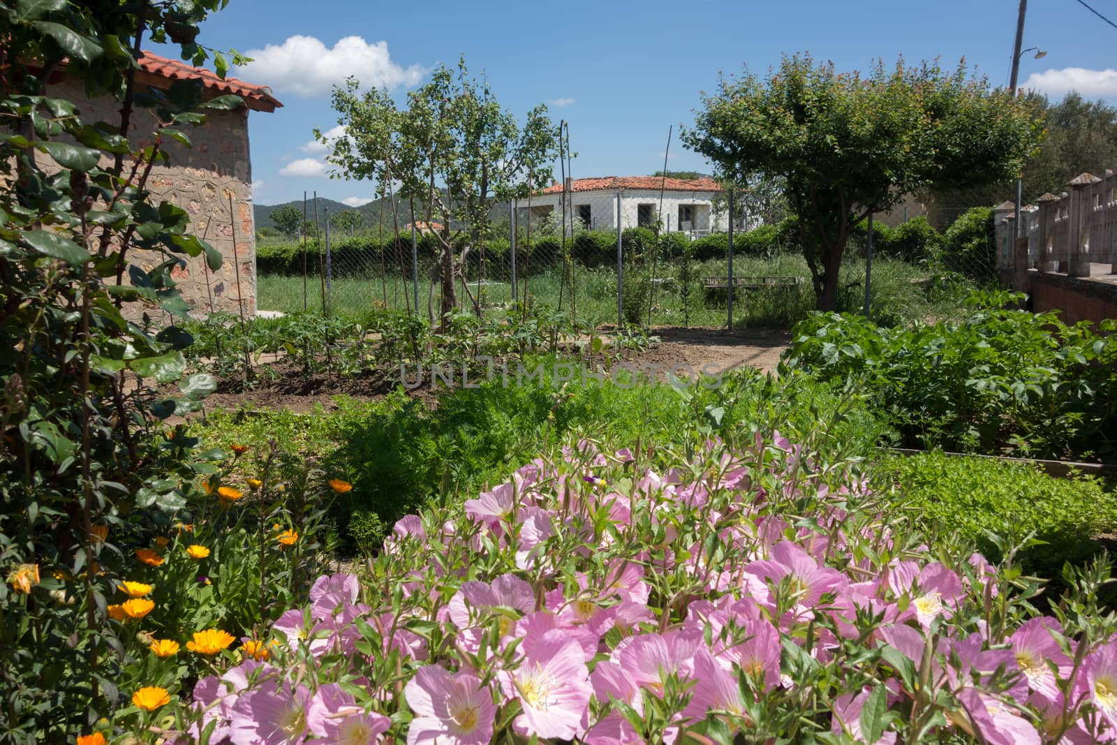 View on village house in northern Greece