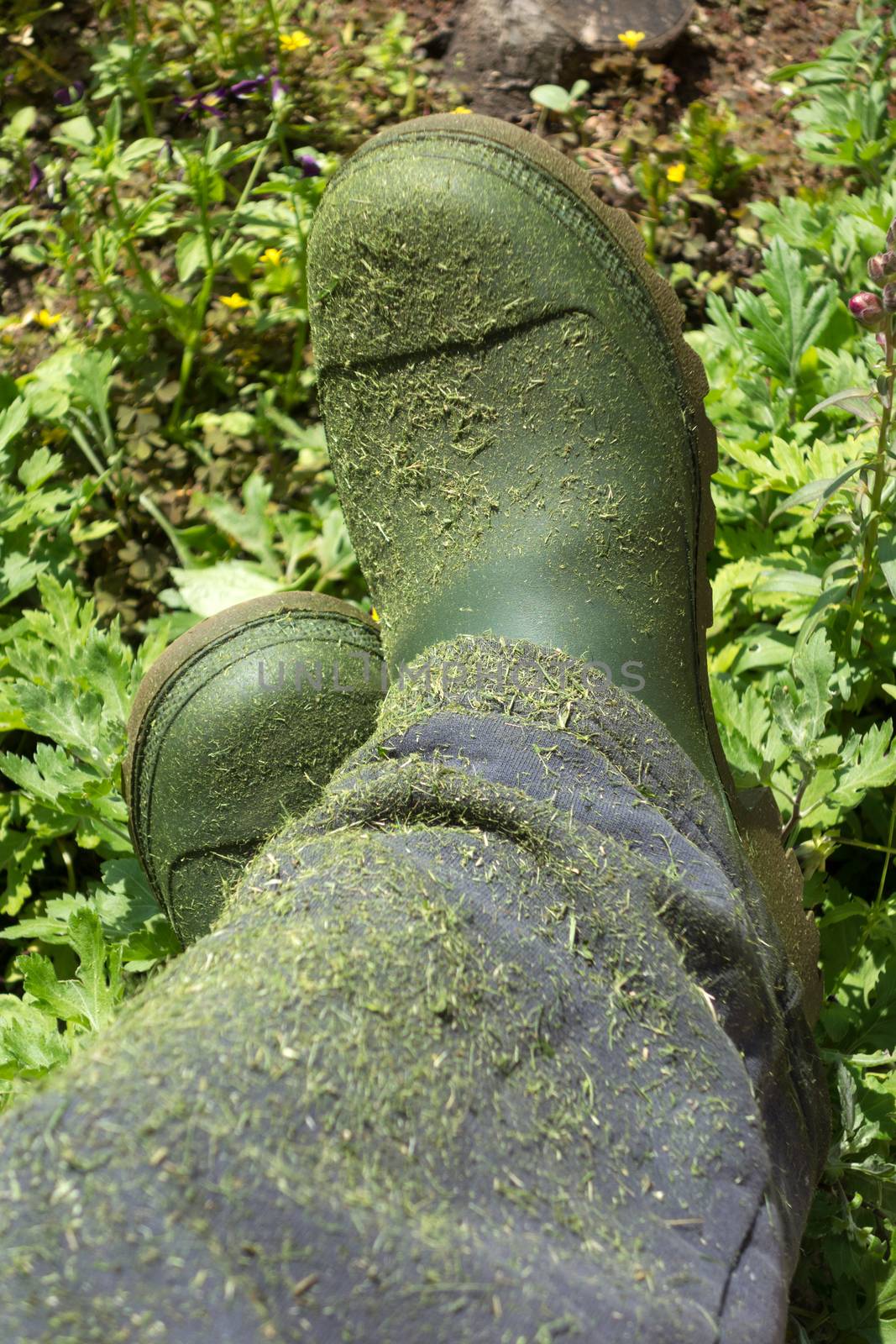 Farmer green boots view by Portokalis