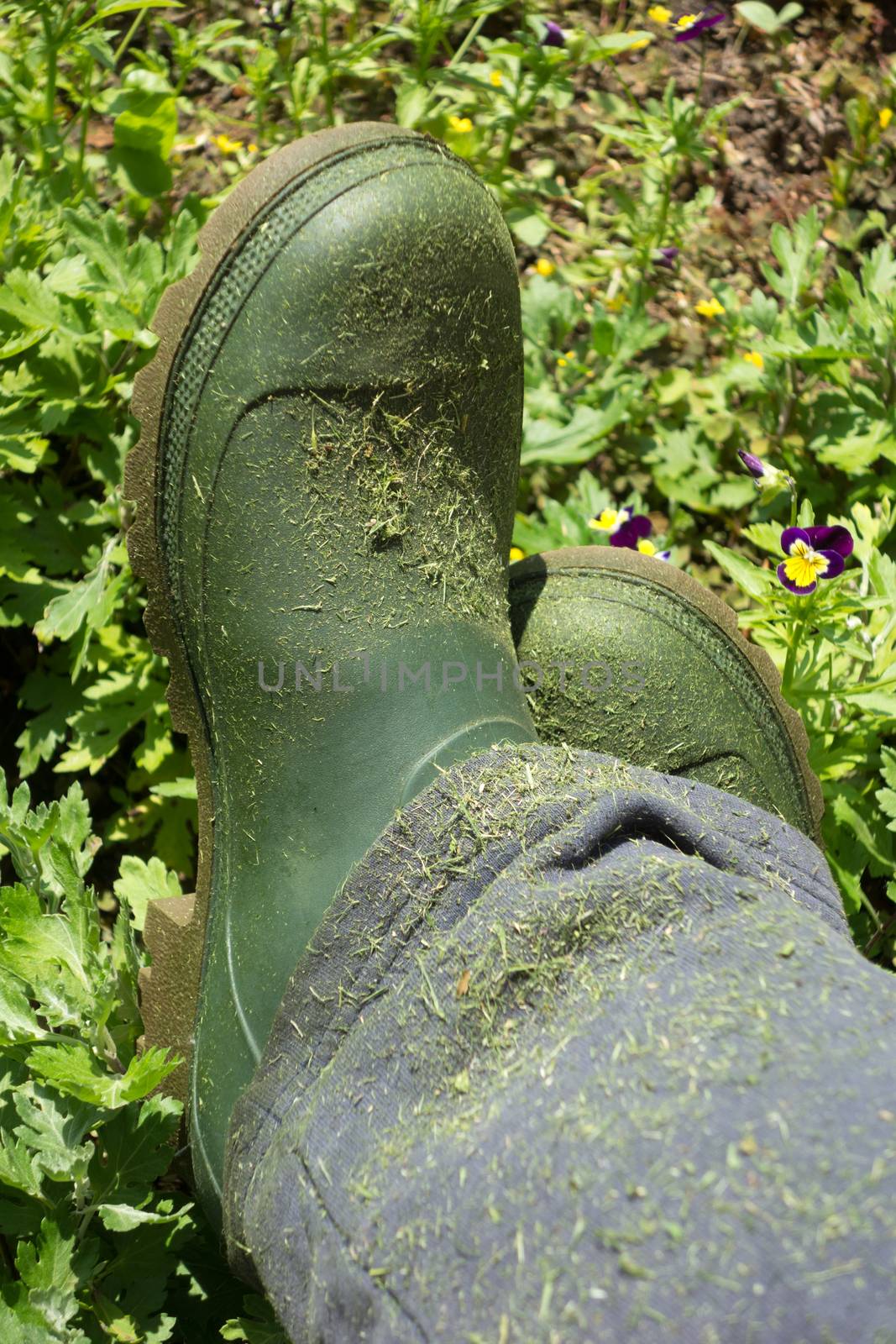 Farmer green boots view by Portokalis