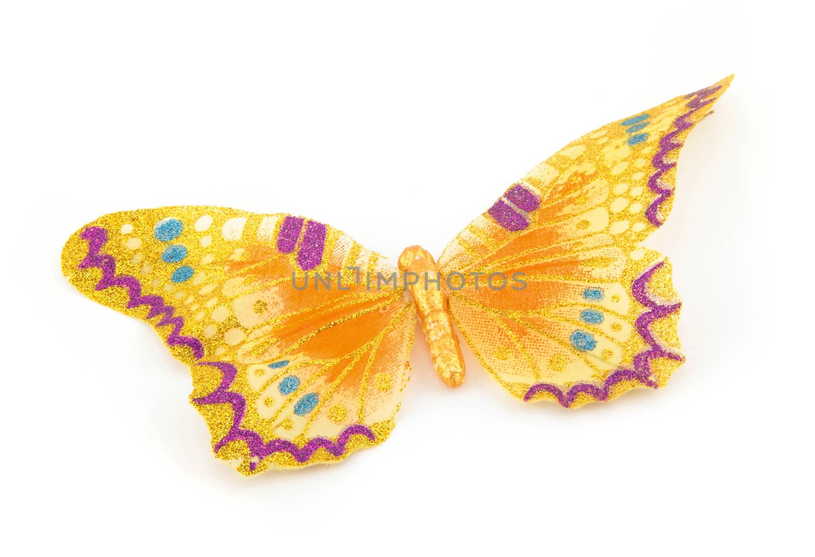 Yellow butterfly on white