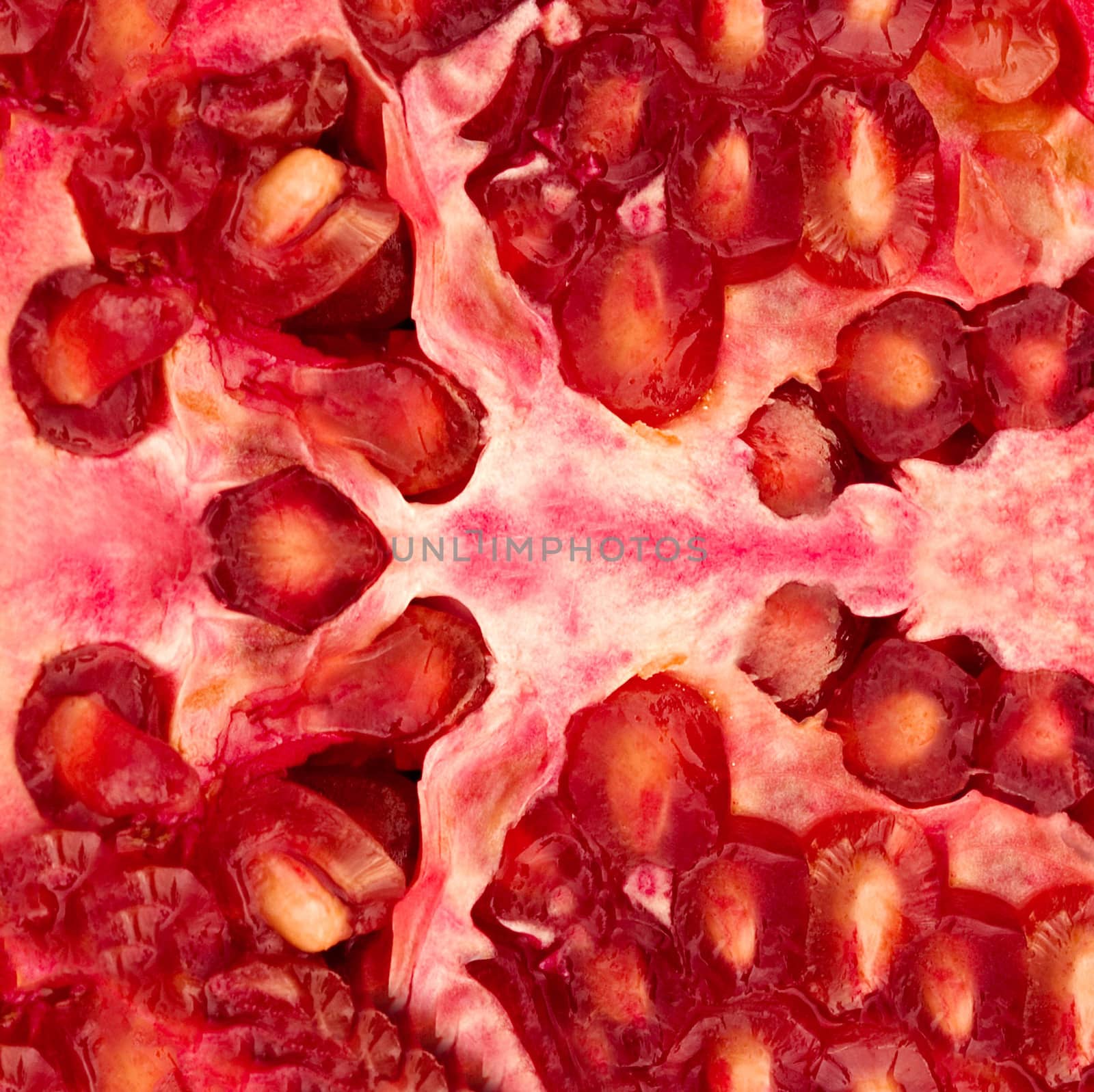 Macro of peeled ripe seeds pomegranate isolated